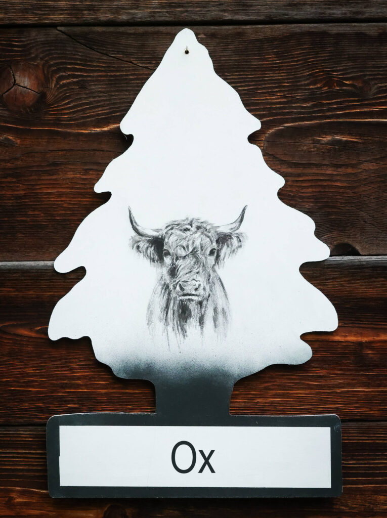 barbara-fuchs-ox-wunderbaum-bad-reichenhall