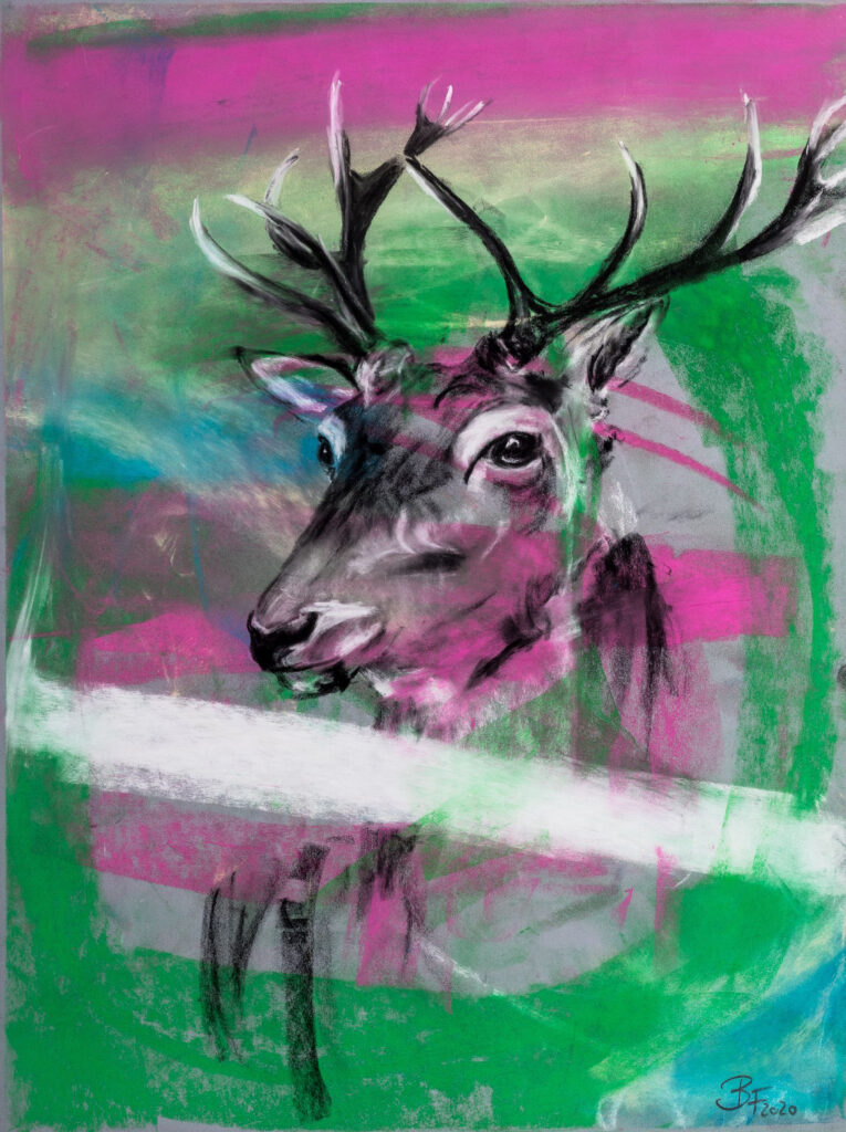 barbara-fuchs-art-bad-reichenhall-hirsch-rosa