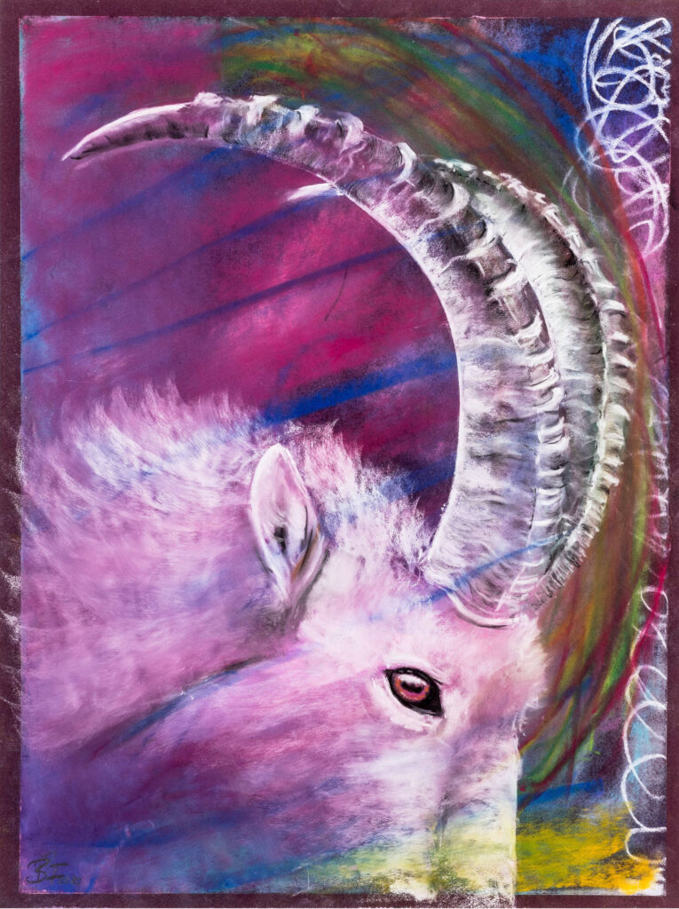 barbara-fuchs-art-bad-reichenhall-steinbock-rosa